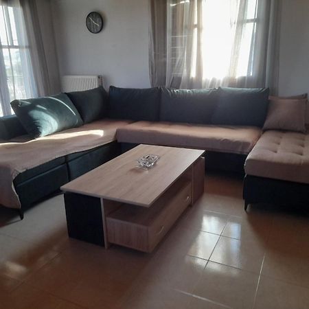 Apartament Elena'S Family House Artemida  Zewnętrze zdjęcie